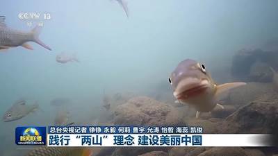 说明: IMG_267